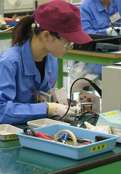 Ứng dụng giới thiệu việc làm cho người Việt tại Nhật Bản