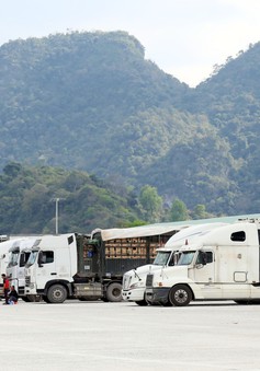 Hơn 5.000 container nông sản “tắc đường” tại Lạng Sơn