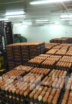 Bộ Công Thương công bố hạn ngạch thuế quan nhập khẩu muối, trứng gia cầm năm 2022