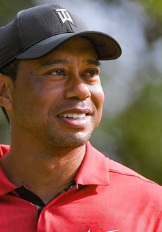 Tiger Woods và sự trở lại với golf tại PNC Championship