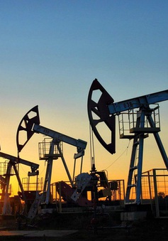 Thị trường dầu ít bị tác động do biến thể Omicron