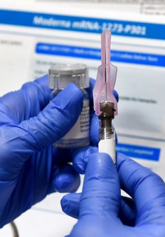 Ứng dụng tích hợp công nghệ blockchain giúp tra cứu thông tin vaccine nhanh chóng
