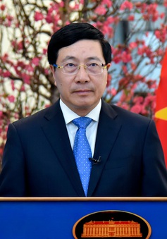 Việt Nam ứng cử thành viên Hội đồng Nhân quyền Liên Hợp Quốc nhiệm kỳ 2023-2025