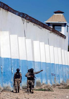 Bạo loạn tại nhà tù ở Haiti, 25 người thiệt mạng
