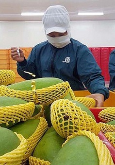 Xuất khẩu rau quả tăng mạnh ở nhiều thị trường khó tính