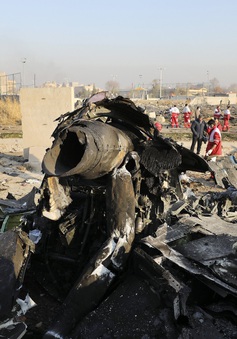 Vụ bắn nhầm máy bay Ukraine tại Iran: Lỗi từ hệ thống phòng không