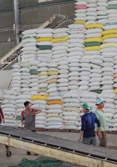 Giá gạo Việt Nam tăng mạnh