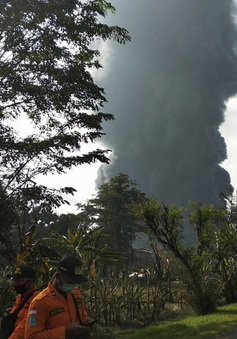 Hỏa hoạn nghiêm trọng tại nhà máy lọc dầu ở Indonesia, 5 người bị thương, hàng trăm người phải sơ tán