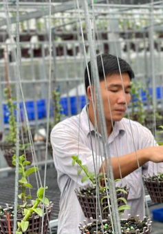 Trương Tuấn Anh chia sẻ bí kíp để thành công trong nuôi trồng hoa lan