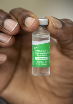 COVAX đã phân phối hơn 20 triệu liều vaccine COVID-19 tới 20 quốc gia