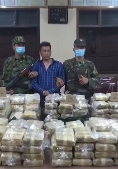 350kg ma túy vừa bị bộ đội biên phòng và lực lượng công an phối hợp bắt giữ