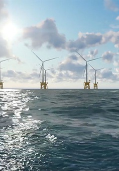 Xu thế phát triển điện gió ngoài khơi tại Việt Nam và quốc tế