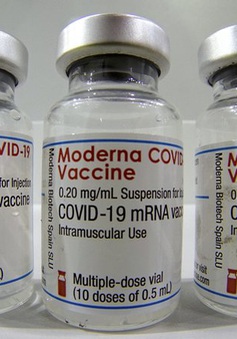 Không có mối liên hệ giữa vaccine của Moderna với chứng viêm tim