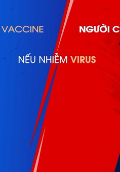 Vaccine - Hành trình miễn dịch số 2: Sau khi tiêm vaccine, cơ thể có bị nhiễm virus SARS-CoV-2?