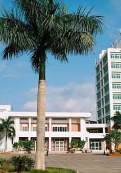 ĐH Quốc gia Hà Nội cho phép học sinh THPT học trước đại học
