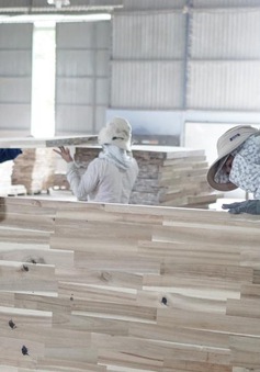 Nhập khẩu gỗ nguyên liệu từ châu Âu tăng 47%