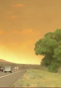 Cháy rừng ở Mỹ sắp vượt tầm kiểm soát