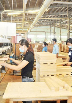 Xuất khẩu gỗ dồi dào đơn hàng bất chấp dịch COVID-19