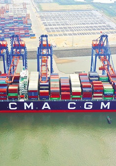 Gánh nặng logistics kéo lùi xuất khẩu của Việt Nam