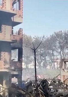 Thổ Nhĩ Kỳ điều tra nguyên nhân cháy rừng dữ dội
