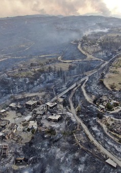 Cháy rừng ở miền Nam Thổ Nhĩ Kỳ khiến 3 người thiệt mạng, hàng chục người phải nhập viện