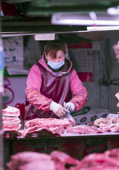 Nguồn cung phục hồi mạnh, giá lợn Trung Quốc lao dốc