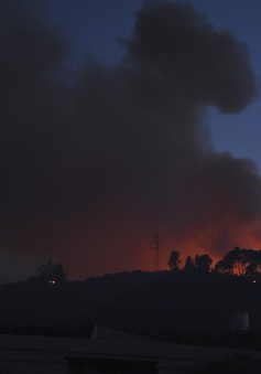 Cháy rừng bùng phát ở Hy Lạp khiến nhiều người bị thương