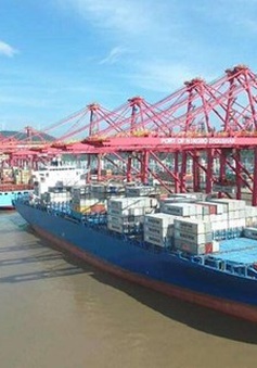 Tắc nghẽn nghiêm trọng tại hai cảng container hàng đầu Trung Quốc