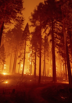 Cháy rừng ở Bắc California lan rộng gấp 3 lần trong 24 giờ, hàng nghìn người phải sơ tán