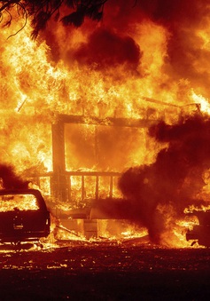 Cháy rừng lan nhanh ở California, hàng nghìn người phải sơ tán