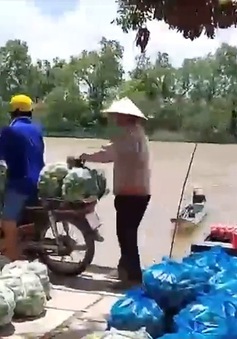Nông dân Cù lao Mây góp rau củ gửi TP Hồ Chí Minh