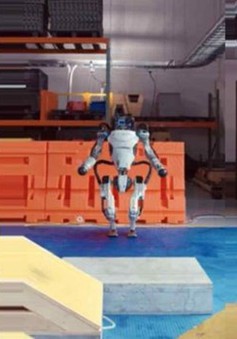 CEO SoftBank: Robot thông minh có thể hồi sinh nền kinh tế Nhật Bản
