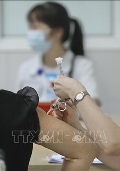 Hồ sơ của vaccine Nano Covax đã được chuyển sang Hội đồng Tư vấn cấp giấy đăng ký lưu hành thuốc