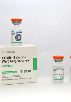 Chính phủ đồng ý mua 20 triệu liều vaccine phòng COVID-19 Vero Cell của Tập đoàn Sinopharm
