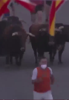 Tây Ban Nha nối lại lễ hội chạy đua với bò tót sau 1 năm gián đoạn vì COVID-19