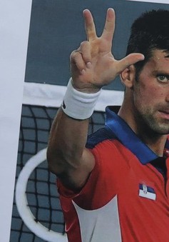 Phản ứng trái chiều khi Novak Djokovic thắng kiện
