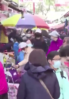 Chợ hoa Hong Kong nhộn nhịp trước tết Nguyên Đán