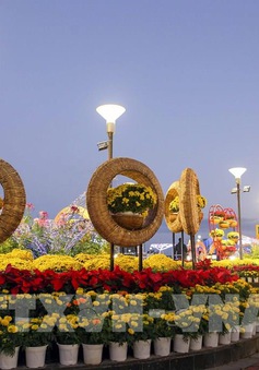 Trầm lắng chợ hoa Tết sáng cuối năm ở Đà Nẵng