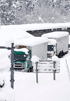 Tuyết rơi dày kỷ lục tại thủ đô Nhật Bản kể từ năm 2018