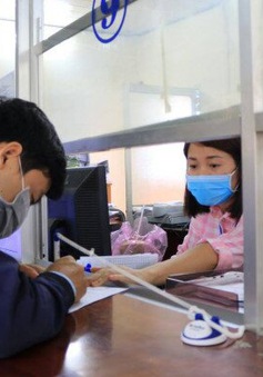Còn hơn 3.000 giấy phép lái xe vô chủ tại TP Hồ Chí Minh