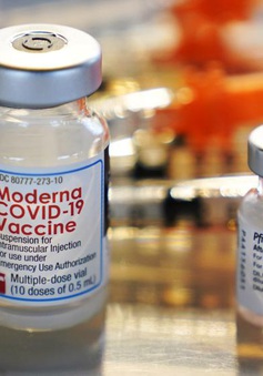 2/3 người trưởng thành ở Mỹ không có kế hoạch đi tiêm mũi vaccine COVID-19 cập nhật