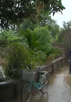 Thanh Hóa khắc phục thiệt hại do mưa lũ
