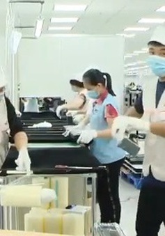 Doanh nghiệp Việt tham gia mạnh vào chuỗi sản xuất toàn cầu