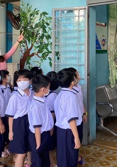 TP Hồ Chí Minh rà soát cơ sở vật chất trường học trong mùa mưa bão