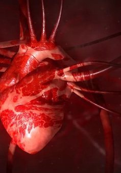 Hormone "tình yêu" oxytocin thực sự có thể hàn gắn trái tim tan vỡ