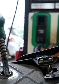 Bộ Tài chính: Tiếp tục xem xét điều chỉnh chi phí liên quan đến xăng dầu trong kỳ ngày 21/11