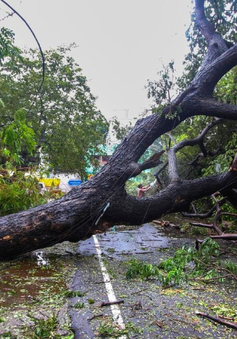 Ít nhất 4 người thiệt mạng khi bão Mandous đổ bộ vào miền Nam Ấn Độ