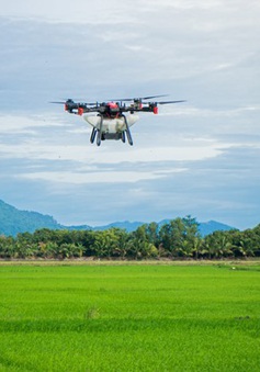Drone XAG cùng nông dân trồng lúa Việt Nam gia tăng thu nhập