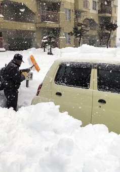 Tuyết rơi dày đặc ở Nhật Bản khiến ít nhất 13 người thiệt mạng, hơn 10.000 ngôi nhà mất điện