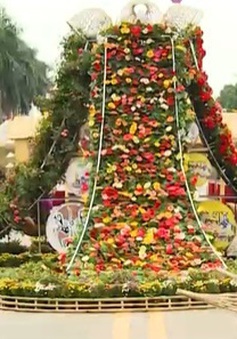 Rực rỡ lễ hội hoa ở 'thủ phủ' Mê Linh